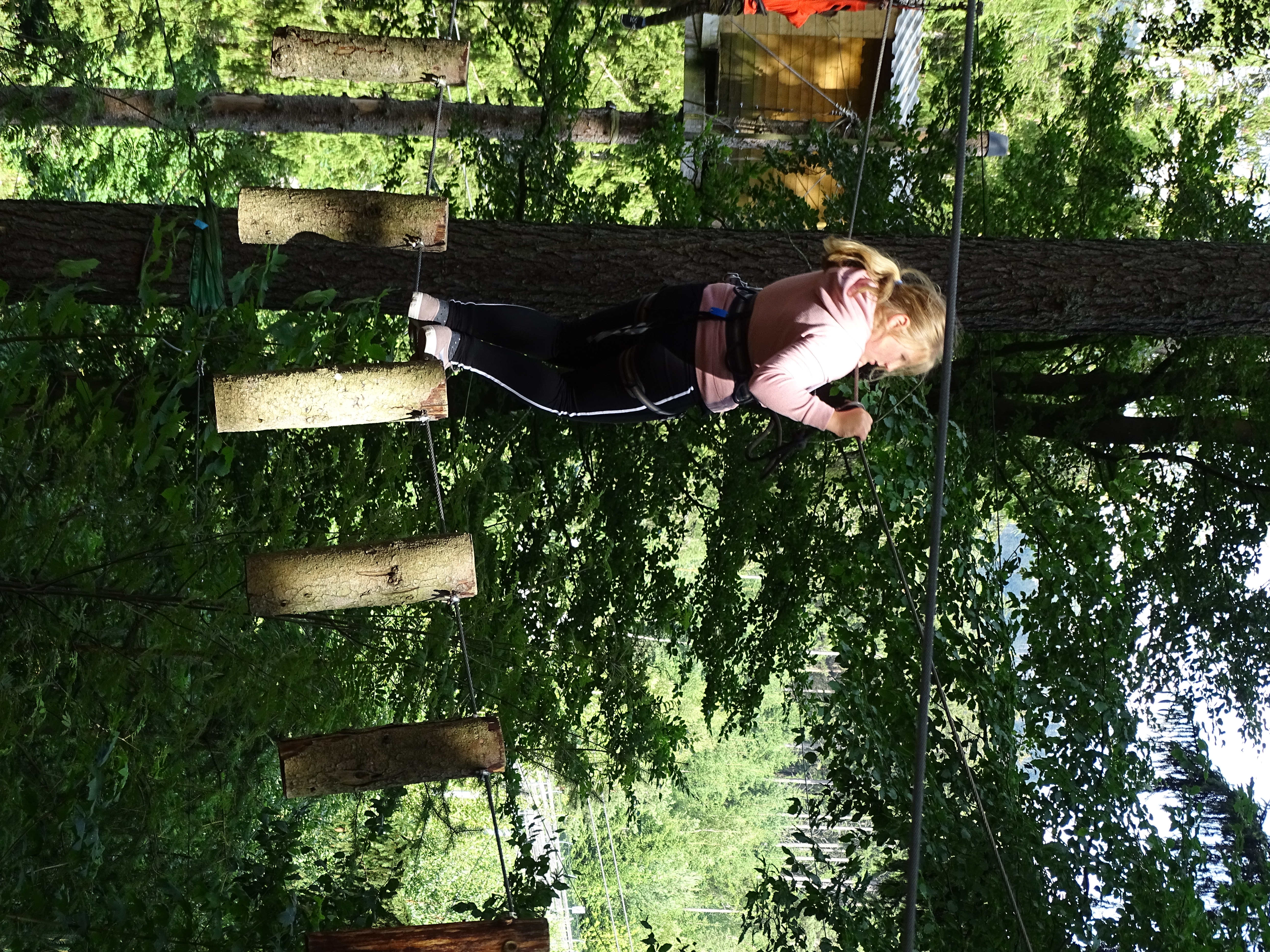Kletterwald