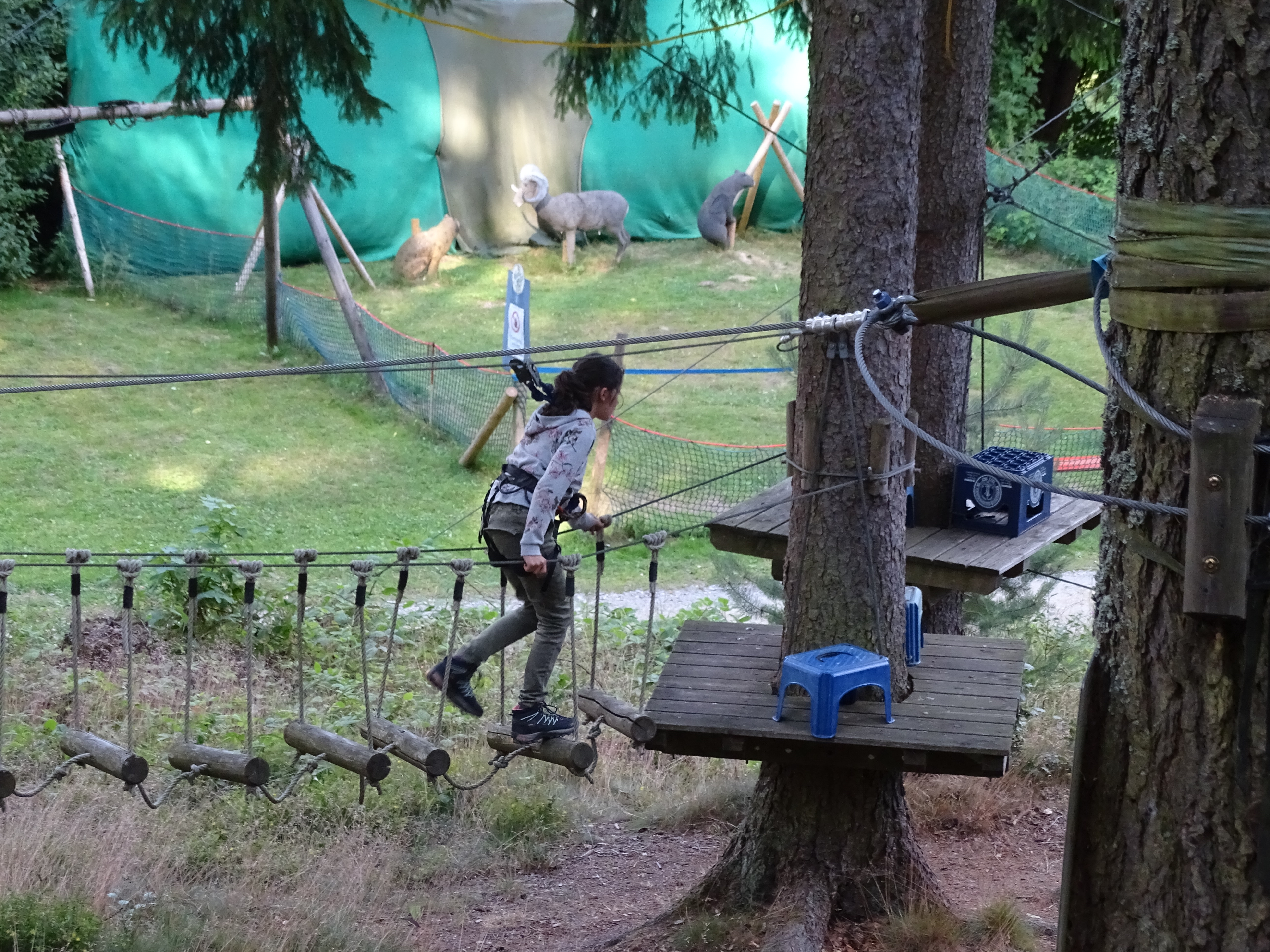 Kletterwald 2